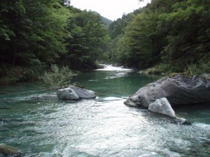 No.4_笑い淵_0922'2011