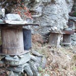 中野川の蜜蜂巣箱