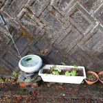 自動水耕栽培装置