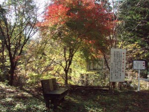 紅葉・西山広場_1107'2013