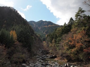 20番・西山広場(竹ノうね谷)上流_1114'2013