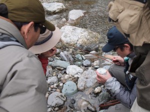 釣師と水生昆虫研究家がアマゴの胃内容物についてディスカッション・仁淀川合流点にて_1201'2013