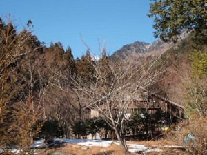 御近所・「時屋」さんと遠景に冠雪山_0127'2014