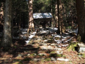 中野川・大森神社に初詣