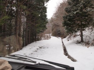 24番・かかし山付近_0211'2014