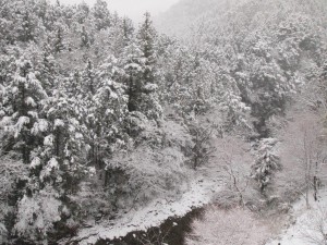 帰ってきたら．．．寒波の雪_0207'2014朝