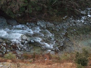 今朝のアザラシ・ラッコ岩：昨日は増水でラッコ水没_0228'2014