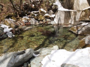 竹の畝橋(西山広場)にて・水温む感が_0221'2014