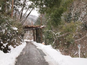 木材搬出ワイヤーはこのトンネルの上を通ってます(上流側から撮影)