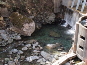 本日の二号(新)堰堤・通常水量に戻りました_0304'2014