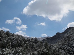 根須木沢の青空と樹雪_AM1250・0406'2014