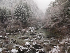 20番・西山広場(竹の畝)上流部_AM9・0406'2014