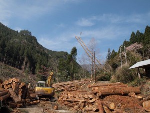 土場(ﾄﾞﾊﾞ・木材集積場) と ワイヤー吊り下げ材