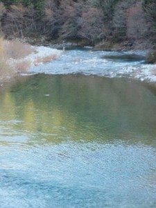 集落のテンカラ名人が桑瀬川で「オカズ釣り」を_長靴・左手に釣り上げた魚をぶら下げて．．飄々と。で，手前にはライズリング_0401'2014