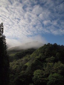 今朝の「テラスから景色」はこんな風で．．見方によっては「不安定」かもしれませんが．．昼過ぎから断続的「強雨」が_0608'2014