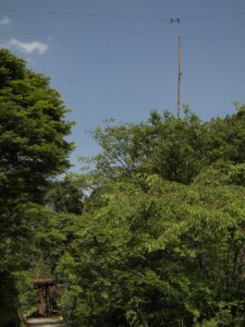 原木のワイヤー搬送・神社前にて