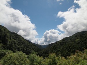 二本杉からの遠景_0628・AM0951