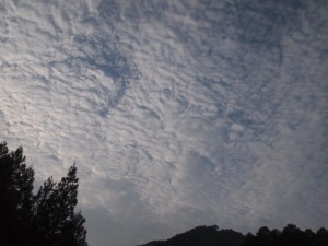 0729'2014朝空・テラスから