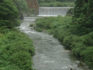 増水・桑瀬川のルアーマン_0707'2014・AM0950