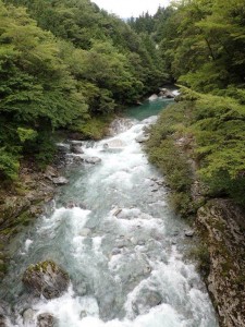 根須木橋(赤橋)から上流を望む・左手から根須木沢(マムシ沢)が_0811'2014