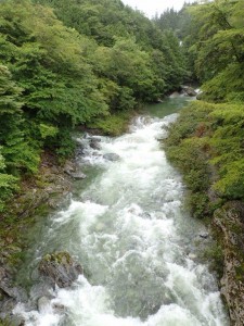 根須木沢(赤橋付近) 合流部_0816'2014