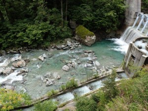 本日の中野川二号(新)堰堤_0811'2014