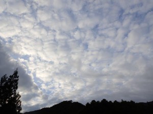 AM7前の倶楽部ハウス前景・根須木沢・雲量多し_0921'2014