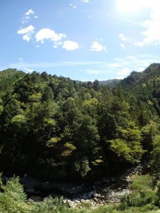 テラス下・根須木沢稜線・青空_0914'2014