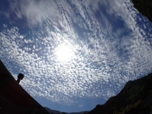 魚眼で撮ったら．．シュールな雲が_AM11・0926'2014