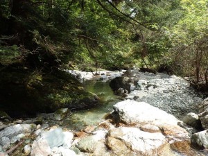 24番・かかし山の狭ーーい流れ．．何かイイ事ありそうで