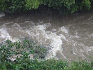 テラス下(ラッコ，アザラシ，クジラ岩・・水没)  画面の縦線は雨脚_PM0348・0906'2014