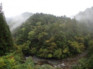 ドンヨリのテラス前景_朝・1003'2014