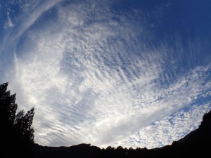 根須木に朝雲_AM0730・1030'2014