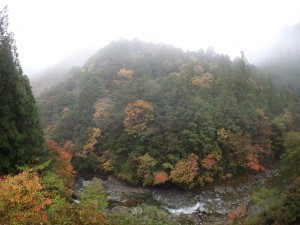 テラス下のPM4・小雨秋中野川_11012014