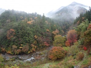 朝雨のテラス下_1109'2014