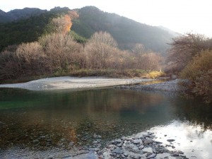 桑瀬川・中野川川 合流点の夕刻_1129'2014