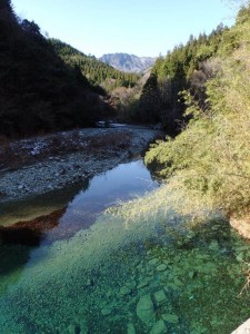 １号(旧)堰堤上・透明度が極致に．．_1210'2014