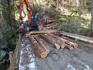 20番西山広場・竹の畝沢橋での伐採木処理作業_1210'2014