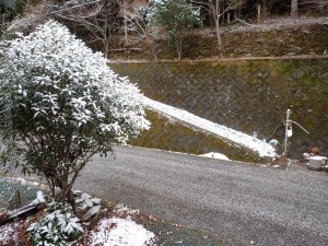 今朝の倶楽部ハウス前_1205