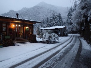 積雪5cmの朝_0130'2015