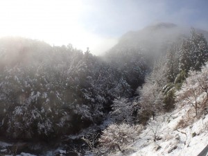 青空・太陽・雪景色_AM10，0130'2015