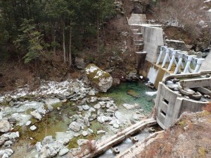 本日の二号(新)堰堤付近・まだまだ寒々しい_0218'2015