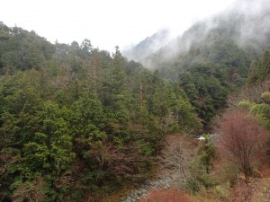 小雨がちの朝方_0329'2015