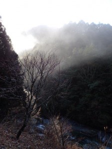 朝陽が射し込んで靄が大量発生_0308'2015