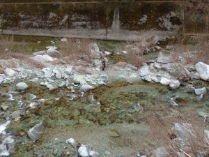 雨中，桑瀬川のルアーマン．．釣り上げてました