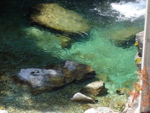 数尾の水面魚・上流部にて。かなり手前でしょ？_0317'2015