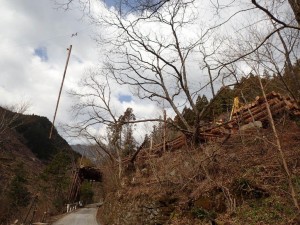 神社前・丸太トンネル直上を通過中の吊り下げ材木。右側の土場に着地したら通行可です。