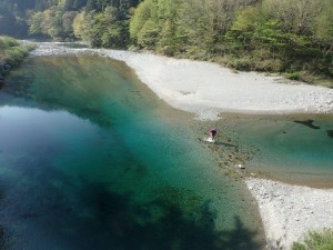 浅場を渡渉する餌師・出合橋にて朝_0425'2015