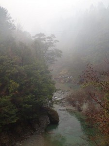 雨に霞む中野川川