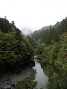 鬱陶しい天候なれど「曇り時々霧雨・時々薄日」の一日でした。御大師様上流_0429'2015